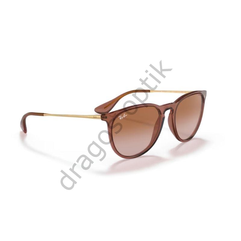 RAYBAN RB4171 6590/13 54 GÜNEŞ GÖZLÜĞÜ