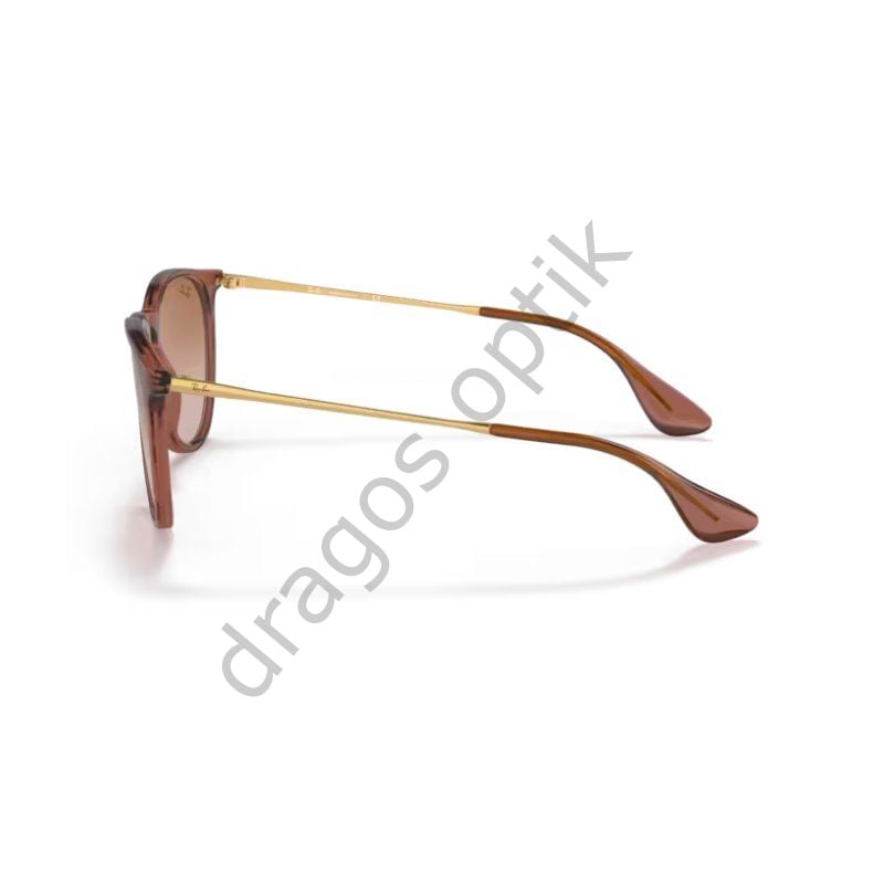 RAYBAN RB4171 6590/13 54 GÜNEŞ GÖZLÜĞÜ