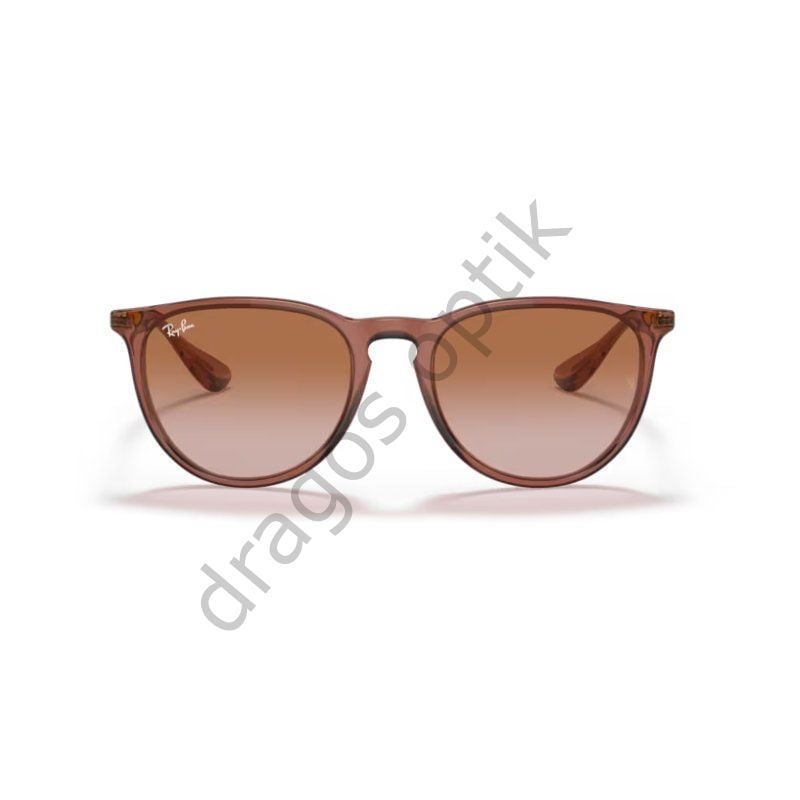 RAYBAN RB4171 6590/13 54 GÜNEŞ GÖZLÜĞÜ