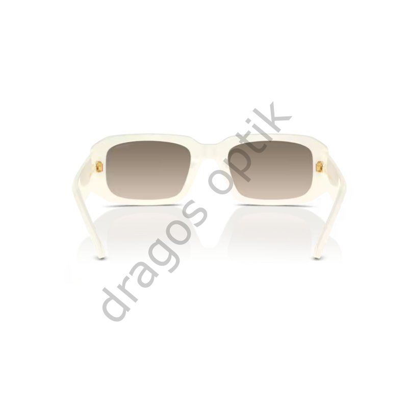 ARNETTE AN4318 124513 53 GÜNEŞ GÖZLÜĞÜ