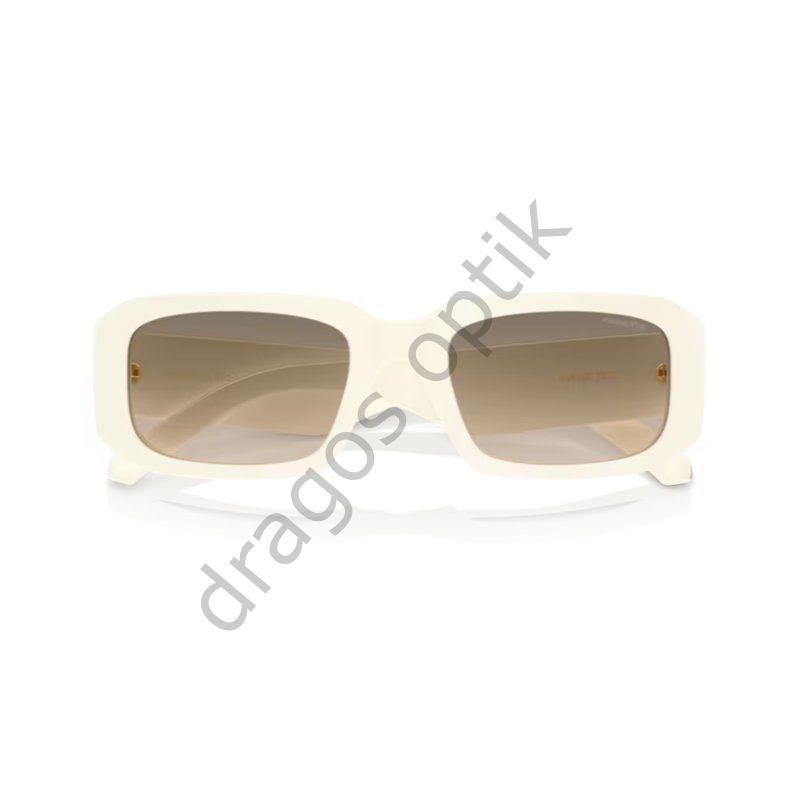 ARNETTE AN4318 124513 53 GÜNEŞ GÖZLÜĞÜ