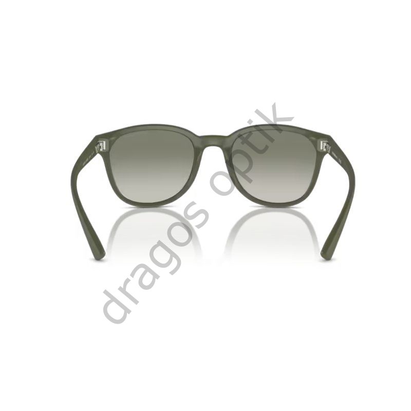 EMPORİO ARMANİ EA4225U 60998E 53 GÜNEŞ GÖZLÜĞÜ