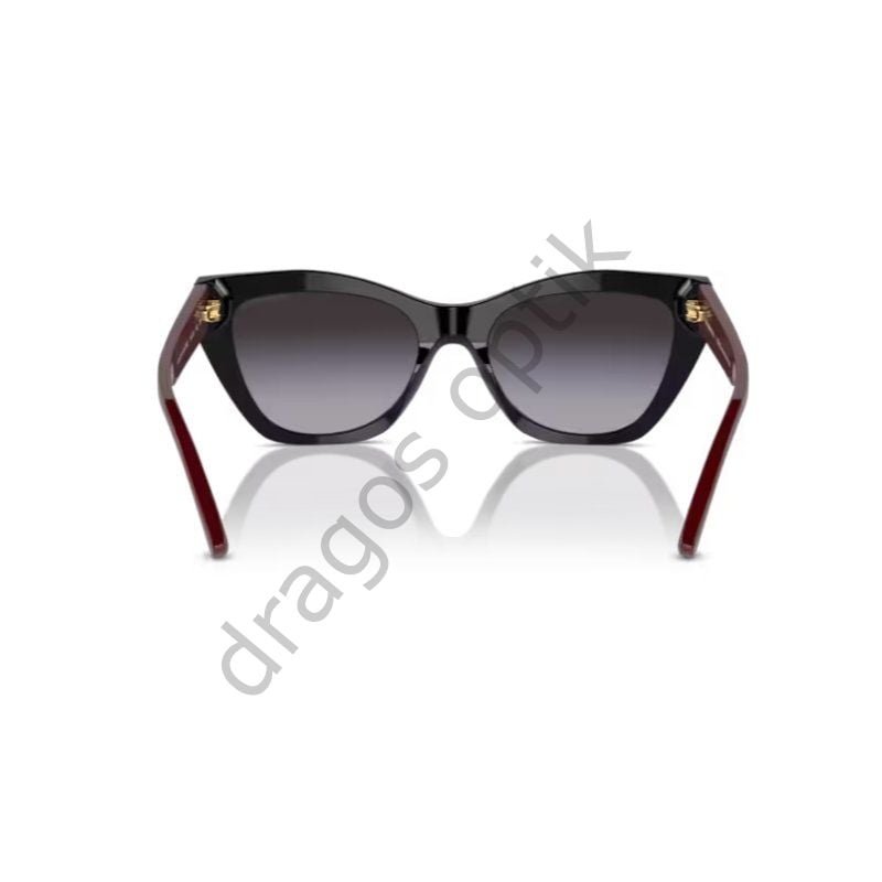 EMPORİO ARMANİ EA4176 50178G 54 GÜNEŞ GÖZLÜĞÜ