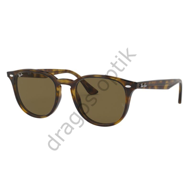 RAYBAN RB4259 710/73 51 GÜNEŞ GÖZLÜĞÜ