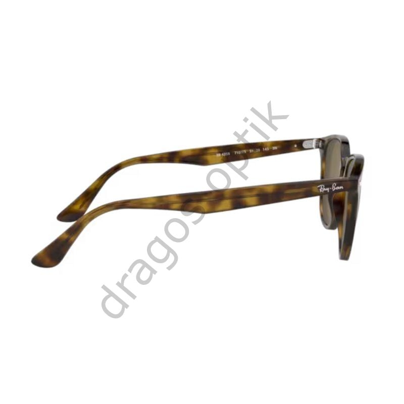 RAYBAN RB4259 710/73 51 GÜNEŞ GÖZLÜĞÜ
